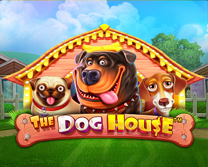 Tìm hiểu về game slot The Dog House